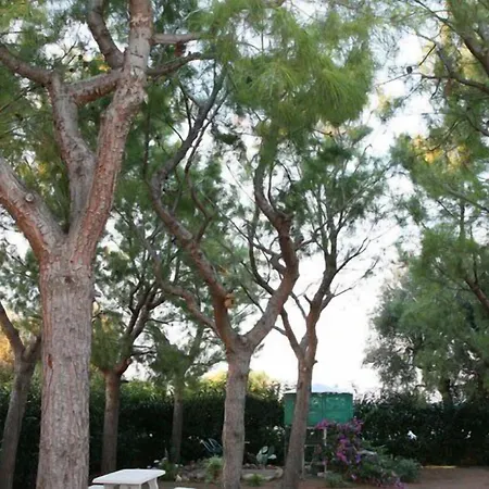 Nocleg ze śniadaniem Tonia 4*