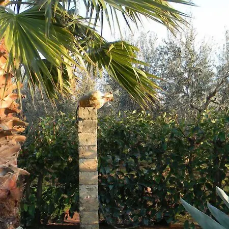 Nocleg ze śniadaniem Tonia