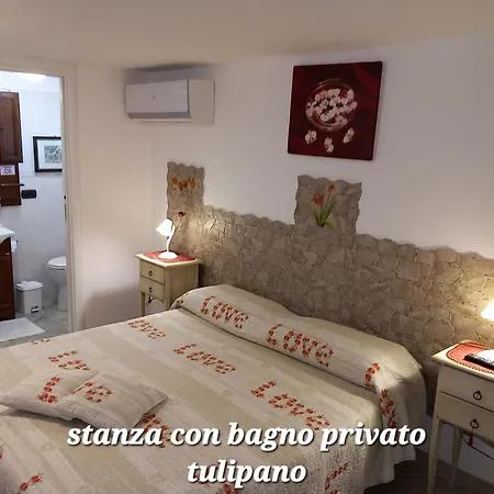 Nocleg ze śniadaniem Tonia 4*