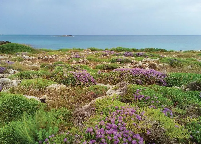 Tonia Oda ve Kahvaltı