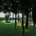 Tonia 4*