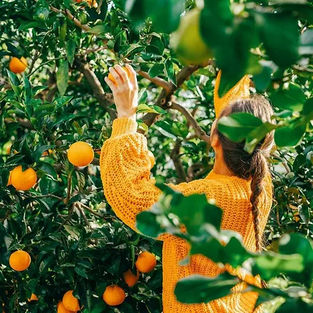 Tonia 4* Фазано