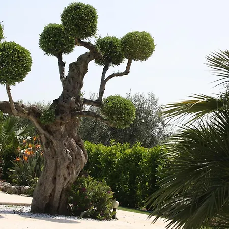 فندق مبيت وإفطار Tonia 2*