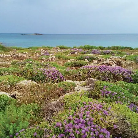 Tonia Отель типа 